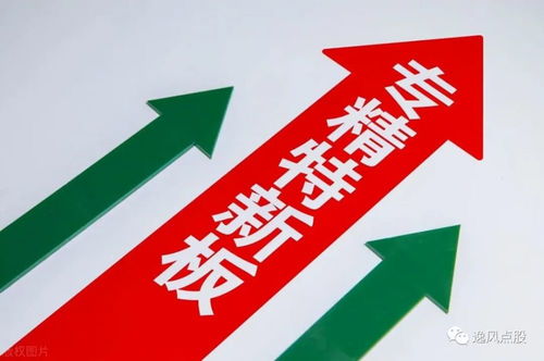 专精特新 崛起 16家绩优 小巨人 获机构扎堆关注