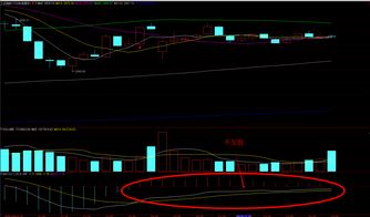同花顺圈子 寻找真正的炒股高手